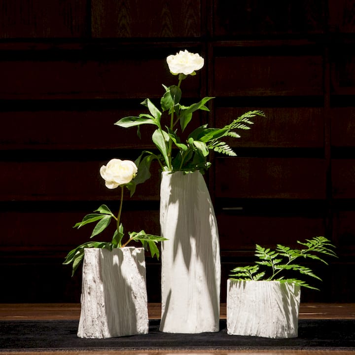 Vase for Branches: Best Picks, Sizing Rules & Styling Tips