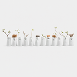 12 Faces Vase Collection
