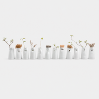 12 Faces Vase Collection