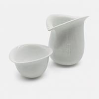 Great Fullness Seems Empty Tea Pitcher Set