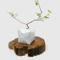 Green White Paper Ball Vase