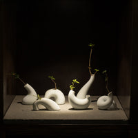 Kung Fu Six Forms Miniature Vase Set