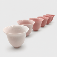 Pinky Pink Tea Cups Set